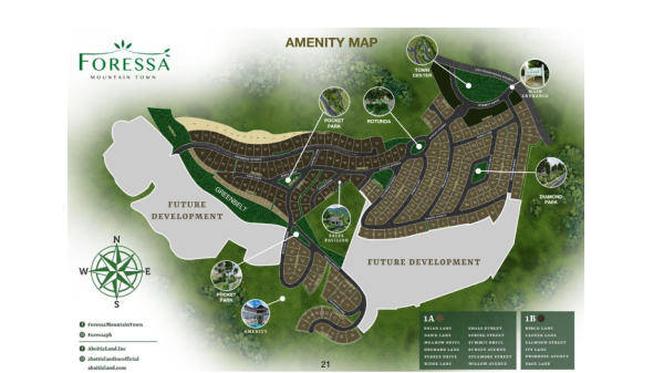Foressa Mountain Town: Prime Residential Lots for sale in Balamban, Cebu - Image 4