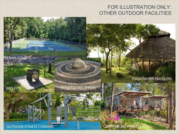Amonsagana: RFO House and Lot for with Luxurious Eco-Living in Balamban, Cebu - Image 4