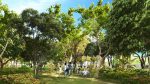 Soltana Nature Residences: Your Urban Island Sanctuary in Mactan - Image 16