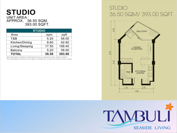 Tambuli Seaside Living: Your Luxurious Beachfront Home in Mactan, Cebu - Image 18