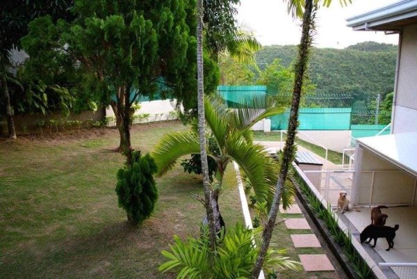 Luxurious Three-Level House with Panoramic Mountain Views in Cebu City - Image 5