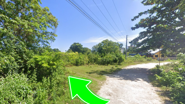 Prime Vacant Land in Dauis, Bohol - Image 8