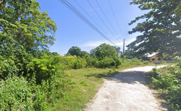 Prime Vacant Land in Dauis, Bohol - Image 4