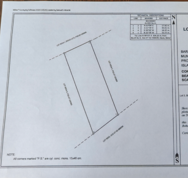 Prime Vacant Land in Dauis, Bohol - Image 6