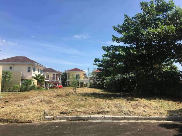 Titled Lot for Sale in Exclusive Subdivision – Fonte de Versailles, Tulay, Minglanilla, Cebu - Image 4