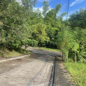 Prime 314 SQM Lot for Sale  Vista Grande, Talisay City, Cebu