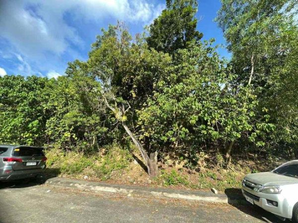 Prime 314 SQM Lot for Sale  Vista Grande, Talisay City, Cebu - Image 4