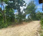 1 Hectare Farm Land For Sale – Bagacay, Sibonga, Cebu - Image 2