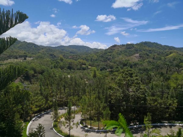 Residential Lot for Sale inside Riverdale Subdivision, Talamban, Cebu City - Image 5
