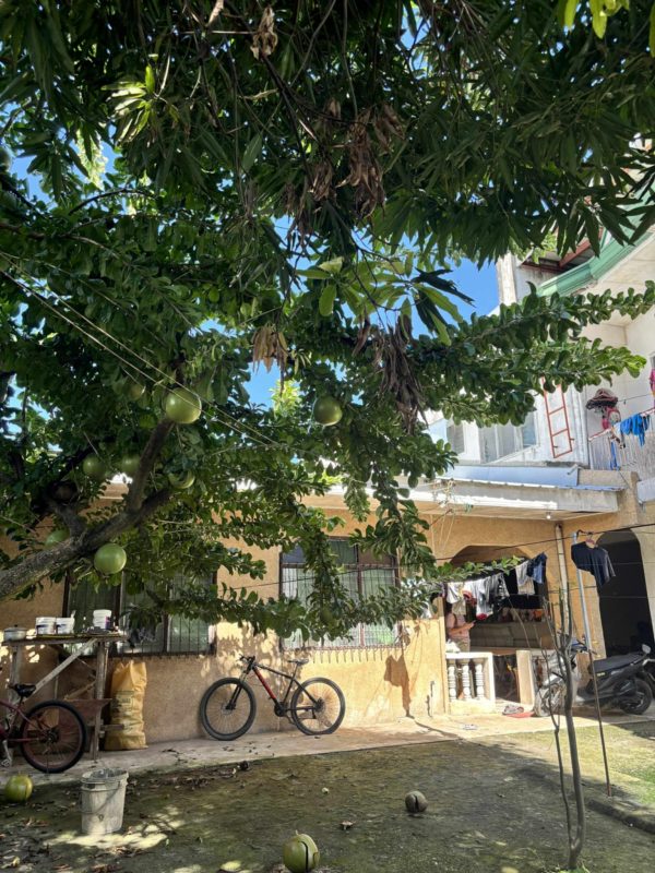 FOR SALE | HOUSE & LOT WITH INCOME-GENERATING APARTMENTS - Image 5