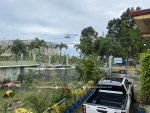 1684 SQM Land with 3 Bungalow in Consolacion Cebu - Image 2