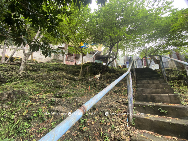 1684 SQM Land with 3 Bungalow in Consolacion Cebu - Image 14