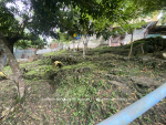 1684 SQM Land with 3 Bungalow in Consolacion Cebu - Image 16