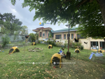 1684 SQM Land with 3 Bungalow in Consolacion Cebu