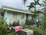 1684 SQM Land with 3 Bungalow in Consolacion Cebu - Image 20