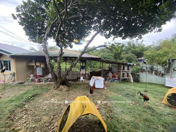 1684 SQM Land with 3 Bungalow in Consolacion Cebu - Image 8