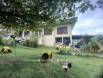 1684 SQM Land with 3 Bungalow in Consolacion Cebu - Image 10